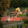 Pumpkin Festival1